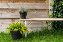 Load image into Gallery viewer, MaximaVida foldable picnic bench Berlin 120 cm whitewash - FSC certified