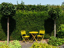 Load image into Gallery viewer, MaximaVida foldable metal garden chair Max olive ochre yellow - 2 pieces