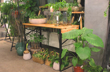 Load image into Gallery viewer, MaximaVida foldable picnic table Berlin 120 cm 3 layers clear varnish - FSC certified