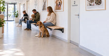 Load image into Gallery viewer, MaximaVida wall-mounted folding bench Jordaan 150 cm - FSC ash wood