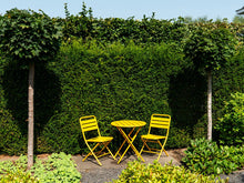 Lade das Bild in den Galerie-Viewer, MaximaVida klappbarer Metall-Gartenstuhl Max ockergelb - 2 Stück
