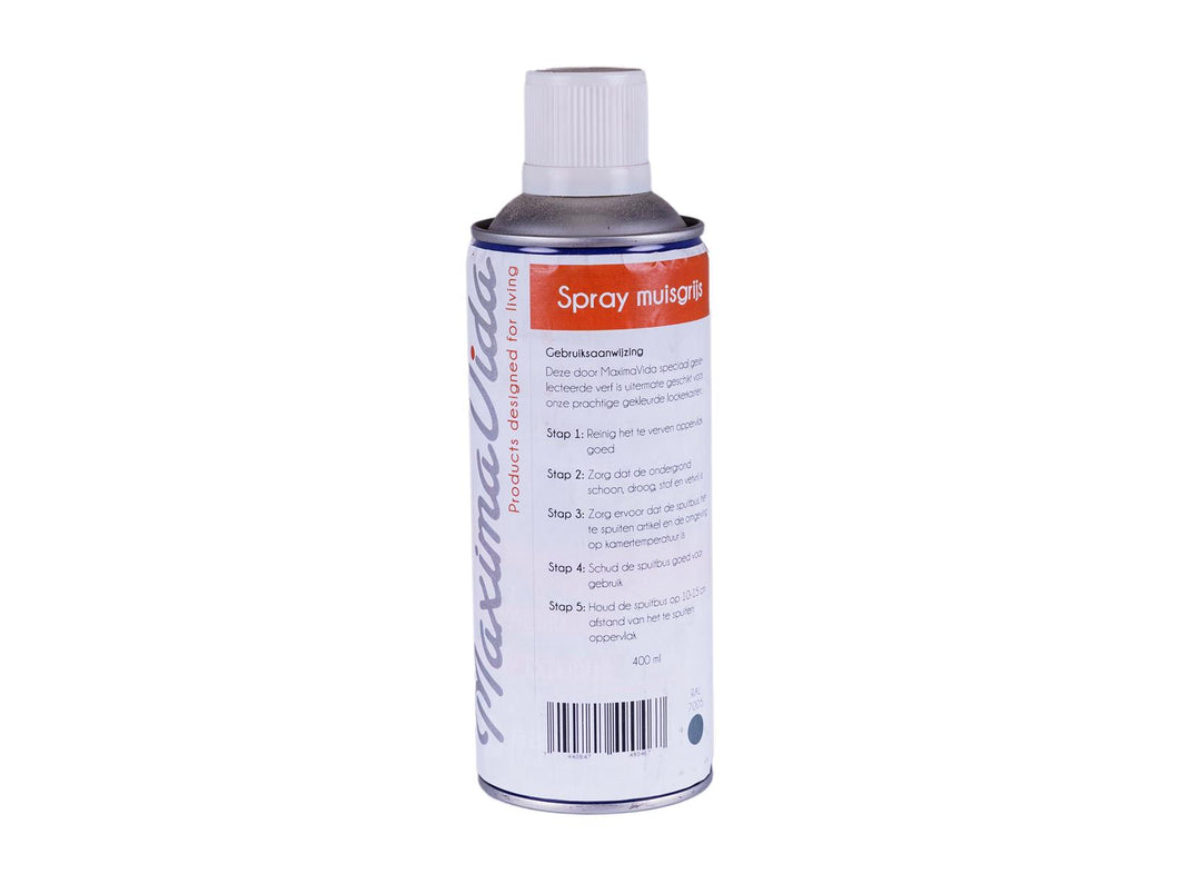 MaximaVida spray for locker cabinet Finn mouse grey – RAL 7005