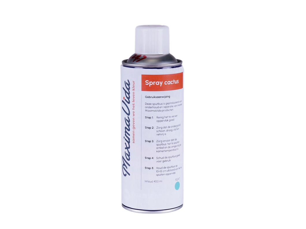MaximaVida spray for locker cabinet Finn Cactus - pantone 2247