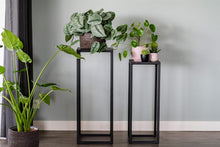 Load image into Gallery viewer, MaximaVida square plant table set Vancouver 79 cm black – 100 kg carrying capacity
