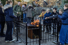 Load image into Gallery viewer, MaximaVida metal garden fence Lichtenvoorde 80 x 159 cm black - hot-dip galvanised
