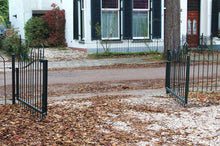 Load image into Gallery viewer, MaximaVida double metal gate Utrecht 90 cm green - posts and latch included
